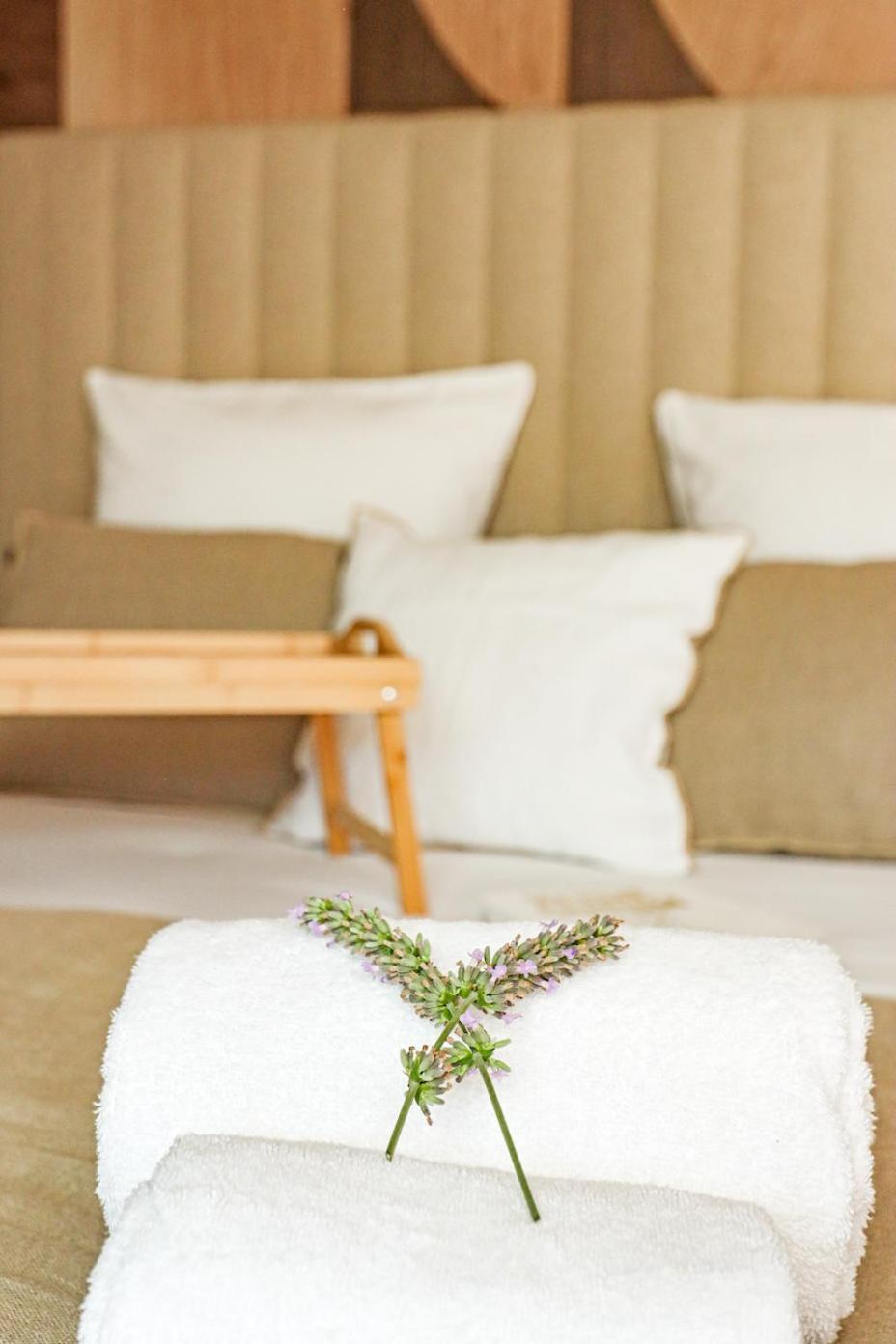 Les Gites De Laure - L'Eden Romantique, Chambres Hotes, Spa Prive, Couloir De Nage, Adults Only Malves-en-Minervois エクステリア 写真